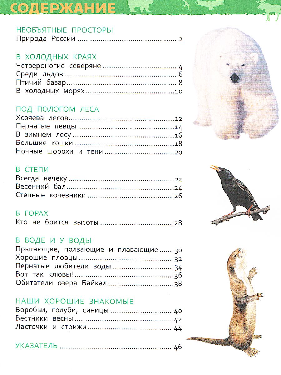 Обложка Животные России. Энциклопедия для детского сада, издательство РОСМЭН | купить в книжном магазине Рослит