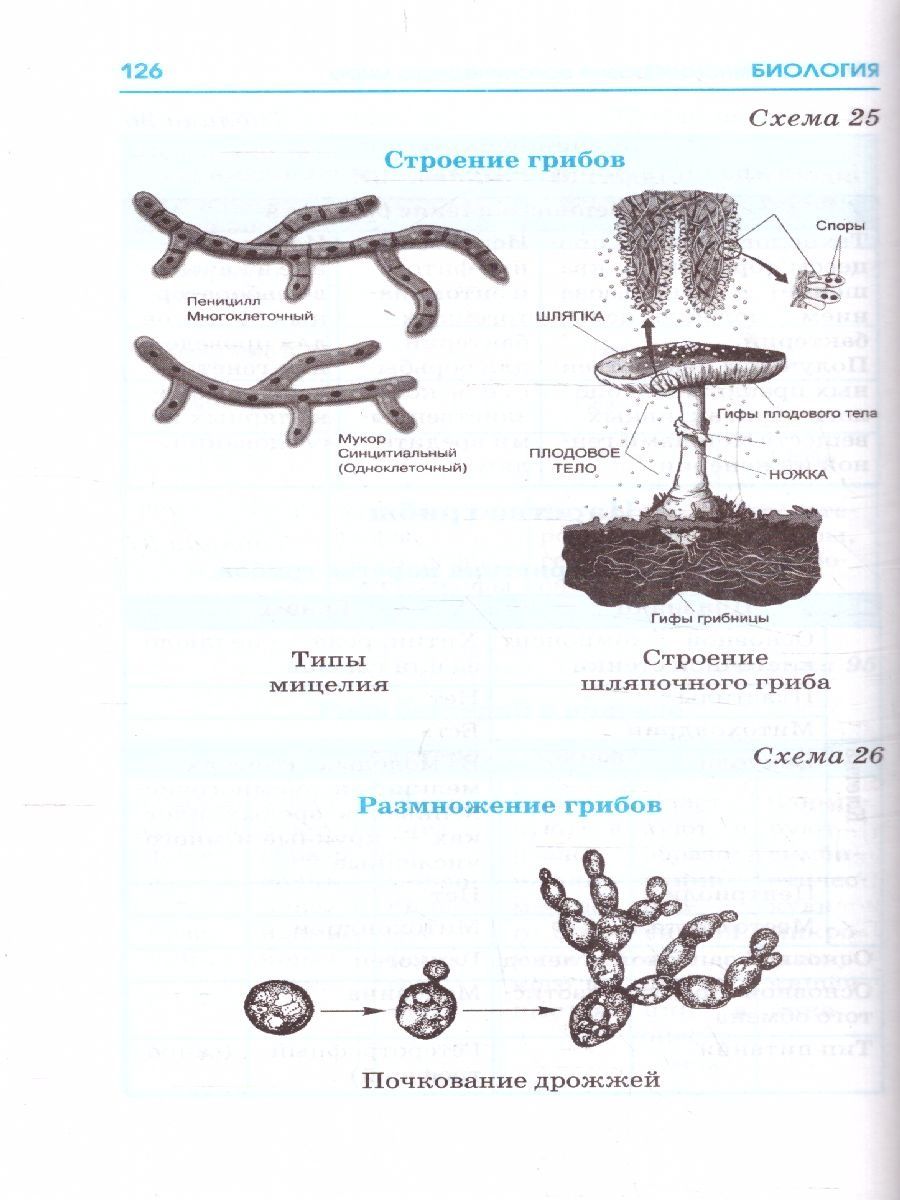 Обложка книги ЕГЭ. Биология. Весь школьный курс в таблицах и схемах для подготовки к ЕГЭ , Автор Маталин А.В., издательство АСТ | купить в книжном магазине Рослит