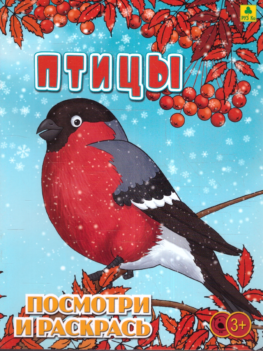 Обложка книги Раскраска детская. Птицы, Автор , издательство РУЗ Ко | купить в книжном магазине Рослит