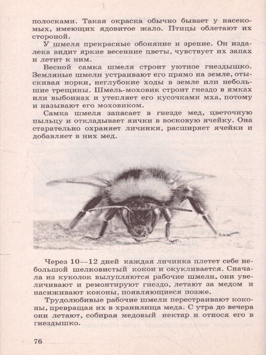 Обложка книги Беседы о насекомых с детьми 5-8 лет. 2-е издание, исправленное, Автор Шорыгина Т.А., издательство Сфера | купить в книжном магазине Рослит