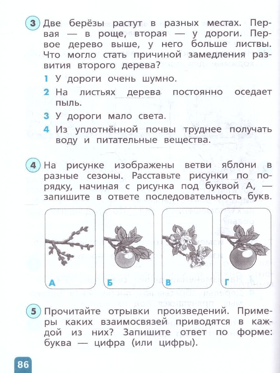 Обложка книги Естественно-научная грамотность 1-2 класс. Сборник заданий, Автор Тимофеева Л.Л., издательство Просвещение | купить в книжном магазине Рослит