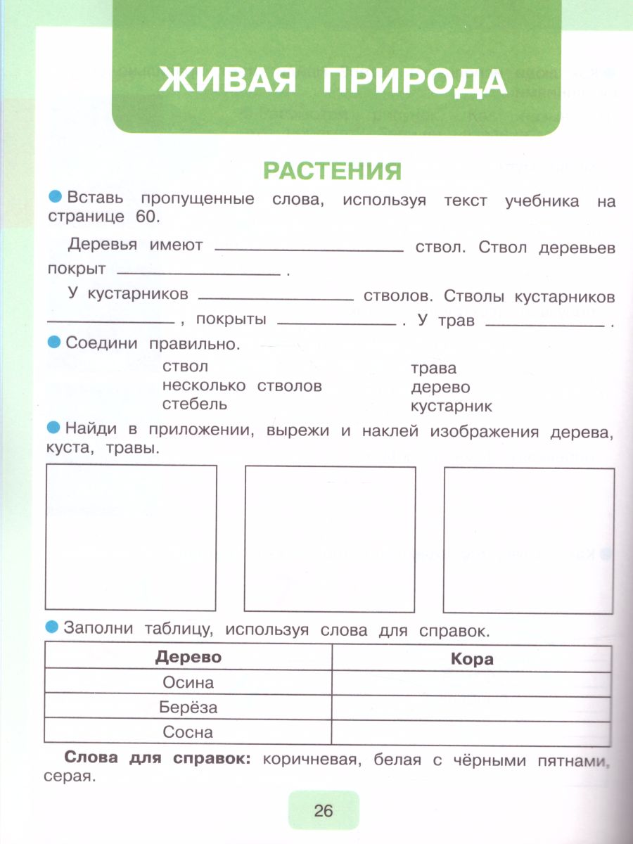 Обложка книги Мир природы и человека 3 класс. Рабочая тетрадь (для обучающихся с интеллектуальными нарушениями), Автор Матвеева Н.Б. Попова М.А., издательство Просвещение | купить в книжном магазине Рослит