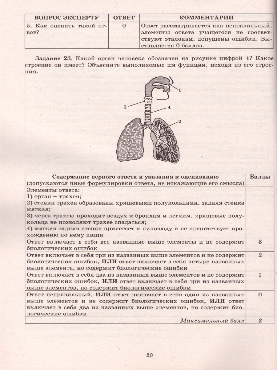 Обложка книги Биология. Решение задач повышенного и высокого уровня сложности, Автор Никишова Е.А. Манамшьян Т.А., издательство Издательство Интеллект-центр | купить в книжном магазине Рослит