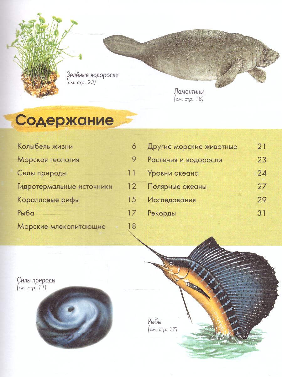 Обложка Подводный мир /Детская энциклопедия, издательство АСТ | купить в книжном магазине Рослит