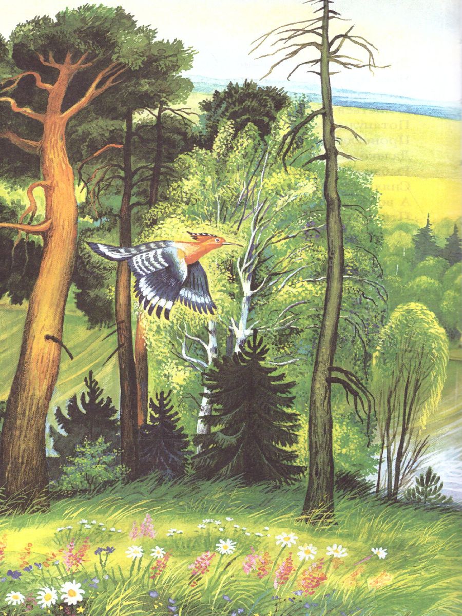 Обложка книги Стихи о природе. Детское чтение, Автор Пушкин А.С. Есенин С.А. Тютчев Ф.И. и др., издательство АСТ | купить в книжном магазине Рослит