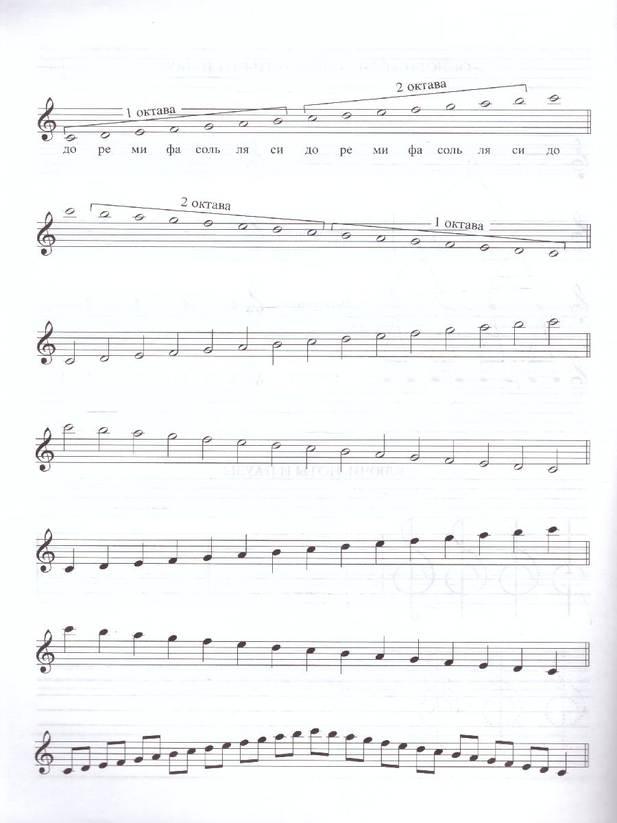 Обложка книги Тетрадь для нот: для младших классов ДМШ и ДШИ (мальчик), Автор , издательство Феникс ТД                                          | купить в книжном магазине Рослит