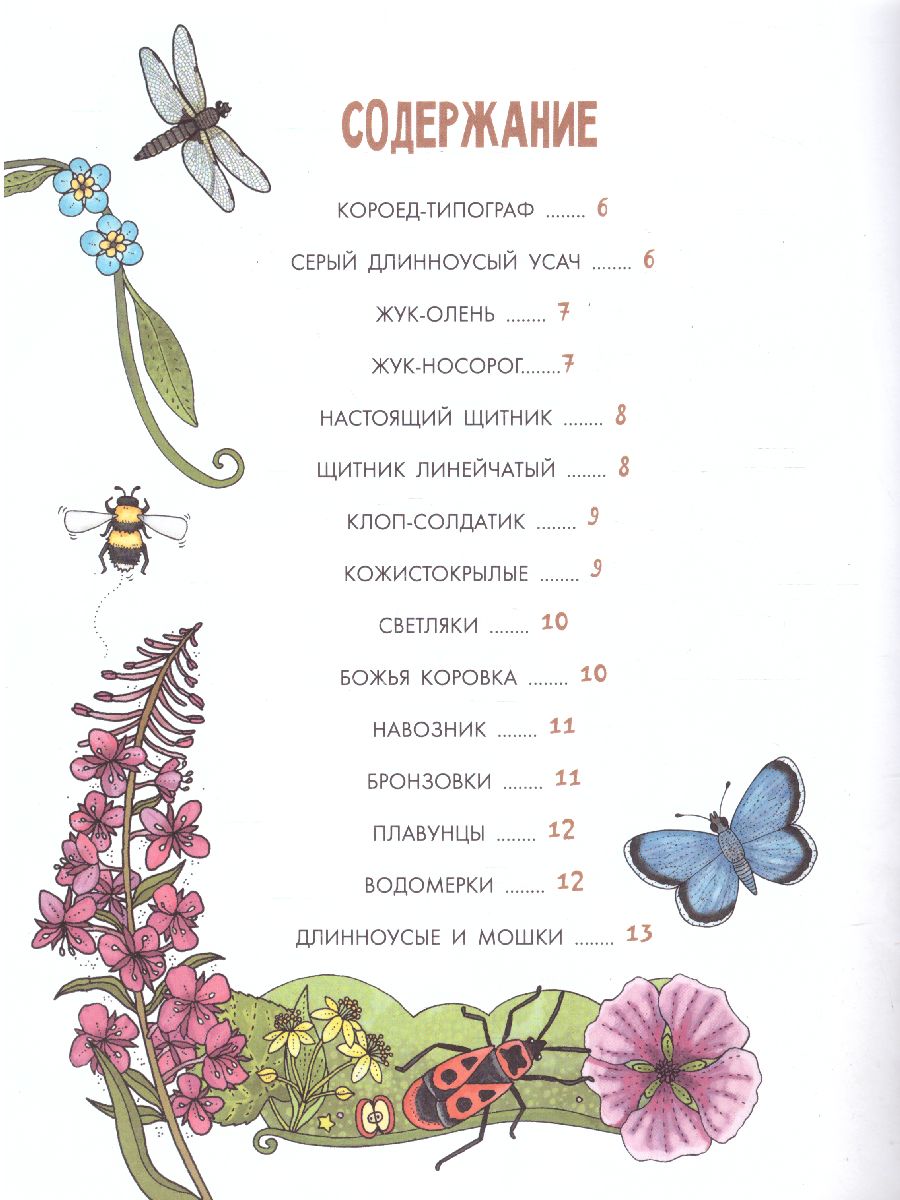 Обложка Насекомы /МояПервКнига, издательство АСТ | купить в книжном магазине Рослит