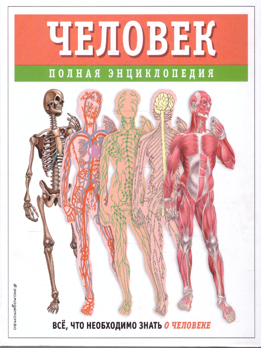 Обложка Человек. Полная энциклопедия. Все, что необходимо знать о человеке, издательство ЭКСМО | купить в книжном магазине Рослит