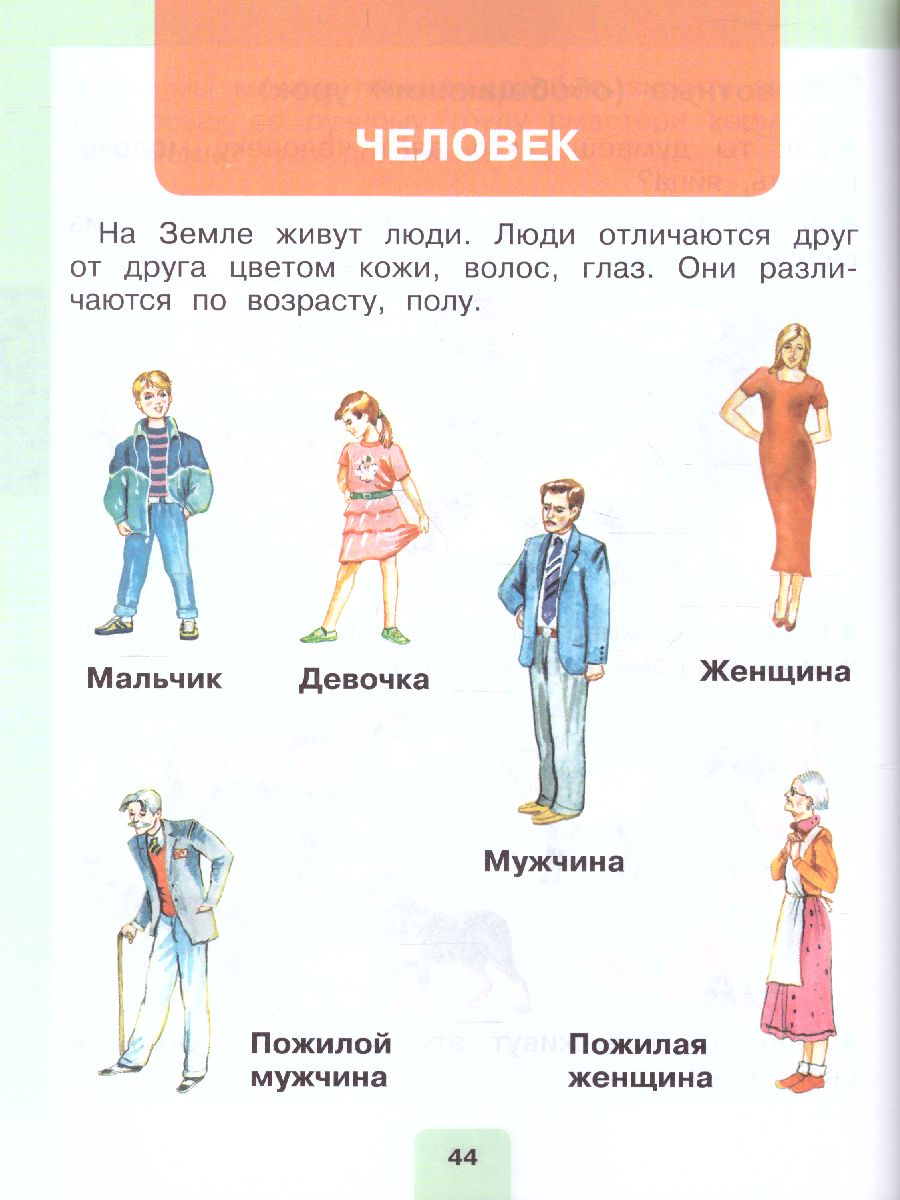 Обложка книги Мир природы и человека 1 класс. Учебник в 2-х частях. Часть 2 (для обучающихся с интеллектуальными нарушениями), Автор Матвеева Н.Б. Ярочкина И.А. Попова М.А., издательство Просвещение | купить в книжном магазине Рослит