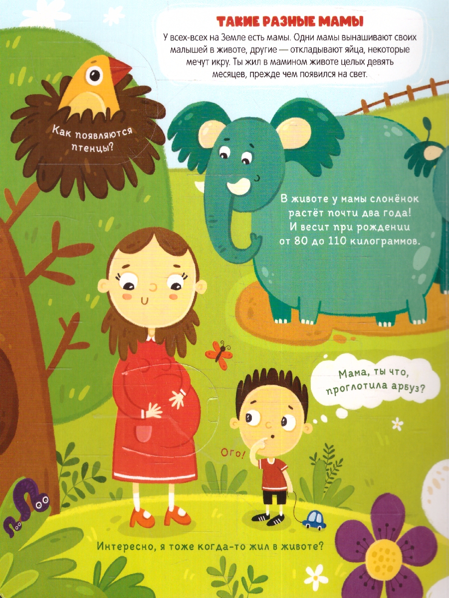 Обложка Книжка с окошками. Откуда берутся дети?, издательство Маламалама                                         | купить в книжном магазине Рослит