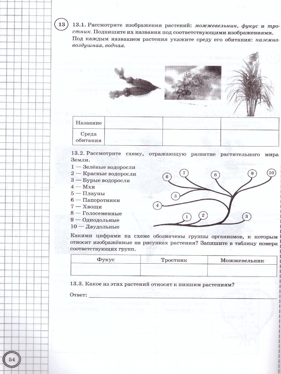 картинка ВПР Биология 7 класс. Типовые задания. 10 вариантов. ФИОКО СТАТГРАД. ФГОС от магазина Рослит