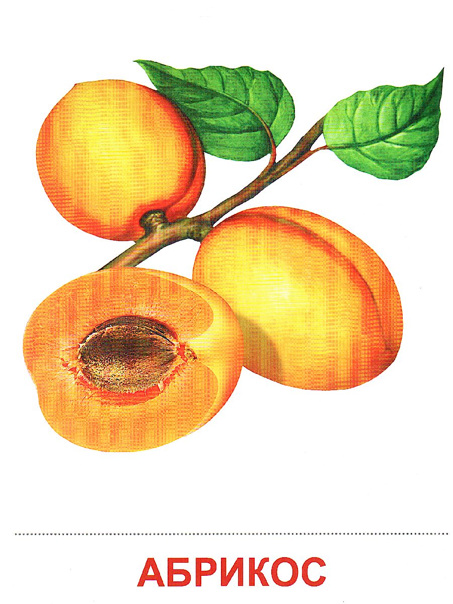 Обложка книги Демонстрационные картинки СУПЕР. Фрукты. 16 демонстрационных картинок с текстом 173х220 мм, Автор , издательство Сфера | купить в книжном магазине Рослит