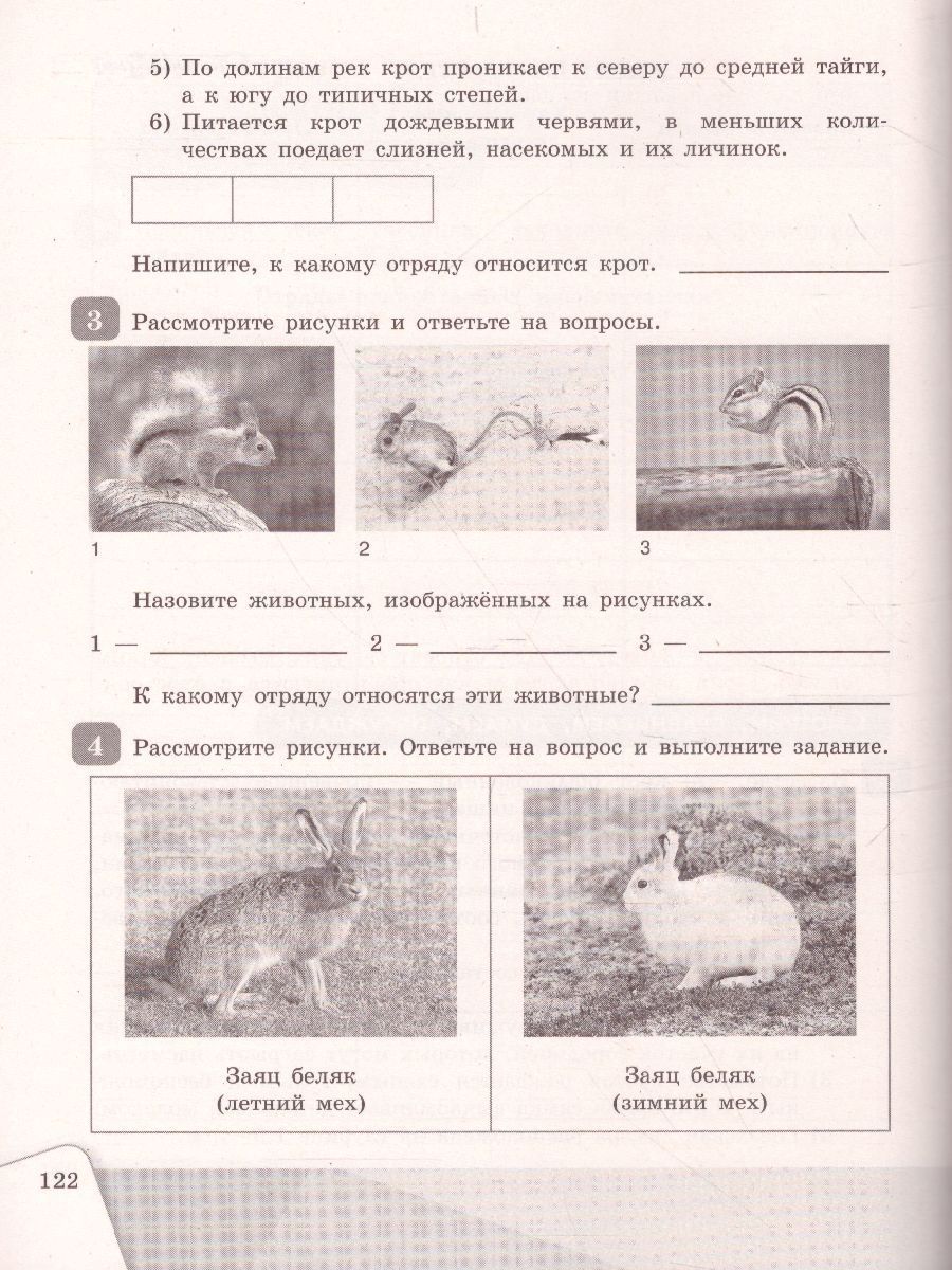 Обложка книги Биология 7 класс. Рабочая тетрадь, Автор Чередниченко И.П. Сивоглазов В.И., издательство Просвещение/Союз                                   | купить в книжном магазине Рослит