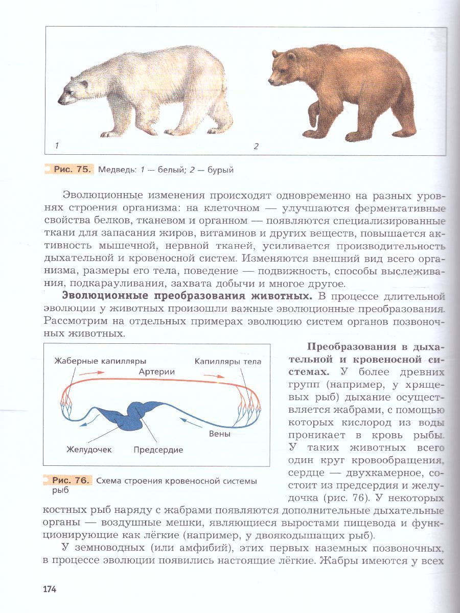 Обложка книги Биология 9 класс. ФГОС (концентрический курс), Автор Пономарева И.Н. Корнилова О.А. Чернова Н.М., издательство Вентана-Граф | купить в книжном магазине Рослит