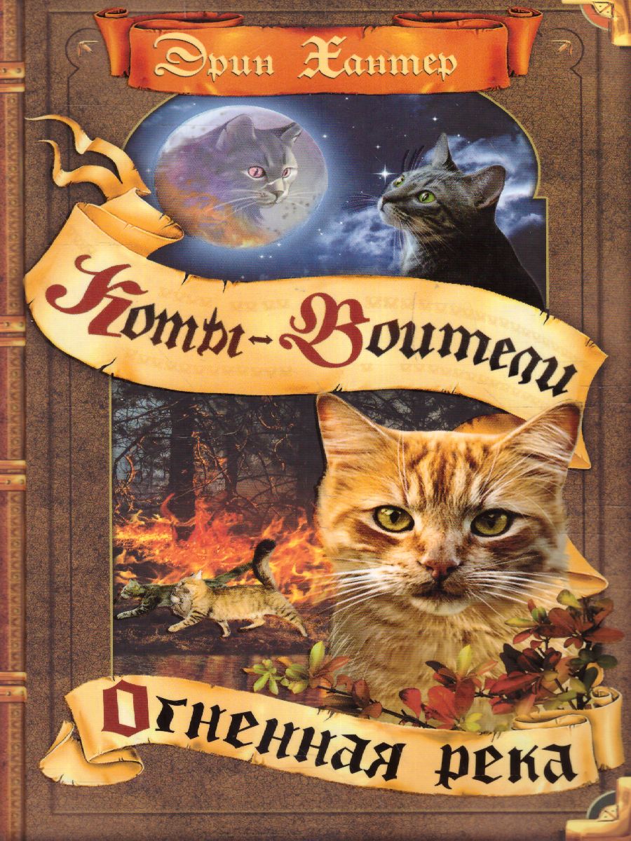 Обложка Коты-воители. Огненная река (цикл "Видение теней"), издательство Просвещение/Союз                                   | купить в книжном магазине Рослит