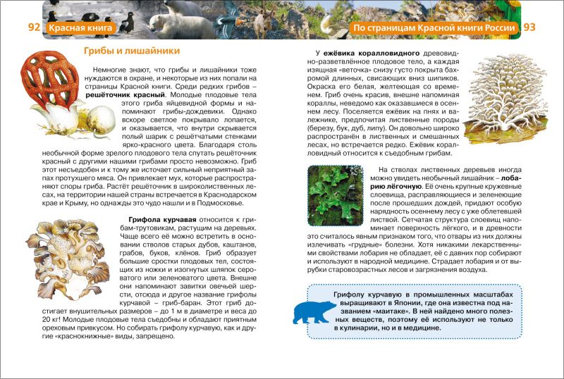 Обложка Красная книга, издательство РОСМЭН | купить в книжном магазине Рослит
