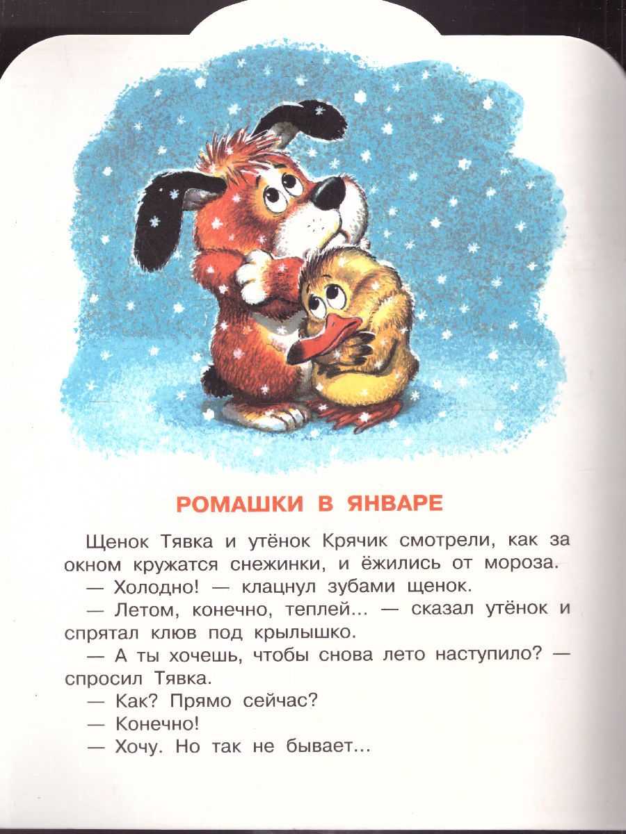 Обложка Пляцковский М.С. Ромашки в январе /Малыш, читай!, издательство АСТ | купить в книжном магазине Рослит