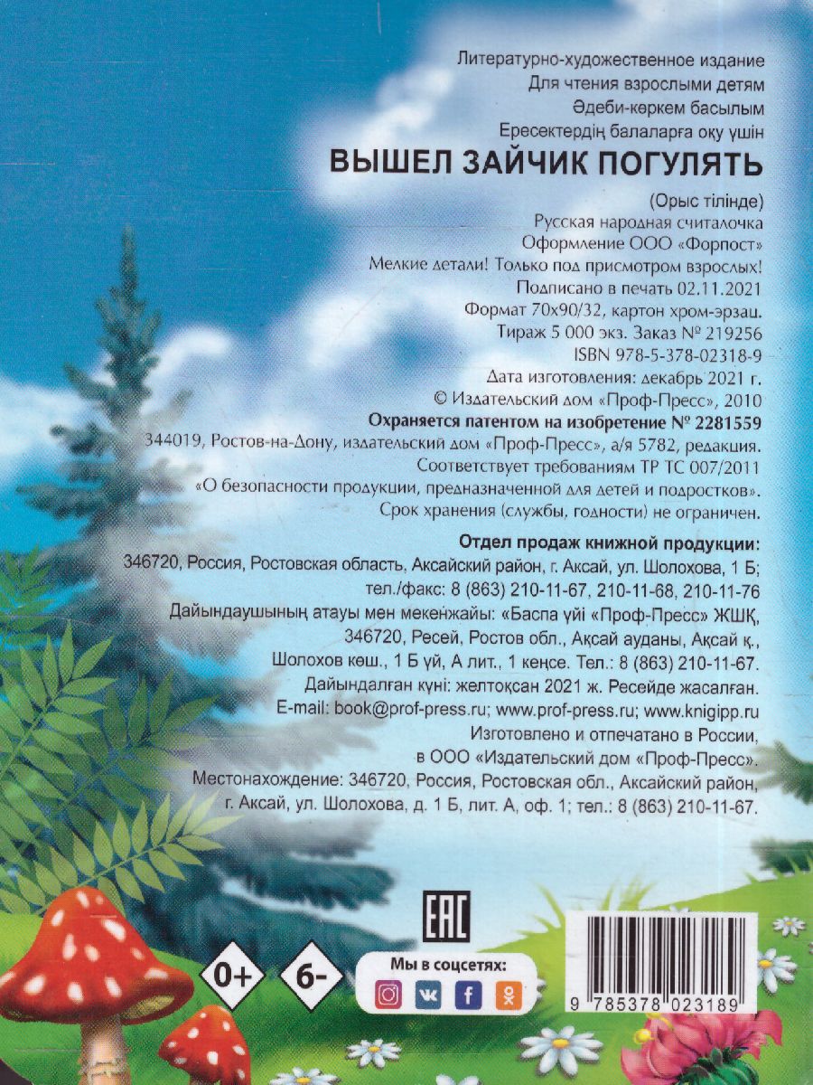 Обложка Вышел Зайчик Погулять, издательство Проф-пресс | купить в книжном магазине Рослит