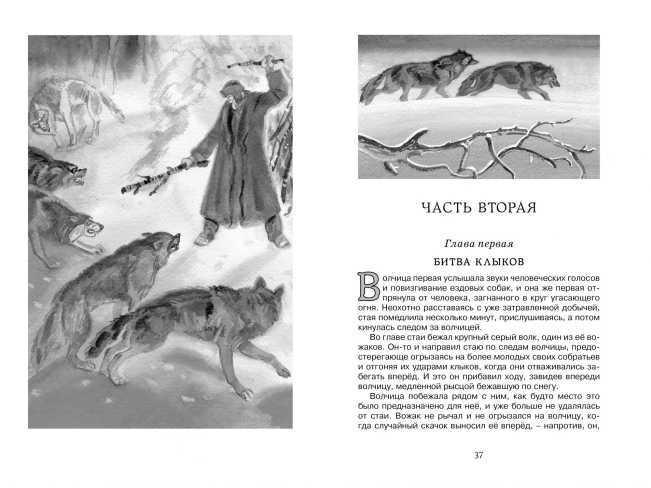 Обложка Белый Клык, издательство Махаон | купить в книжном магазине Рослит