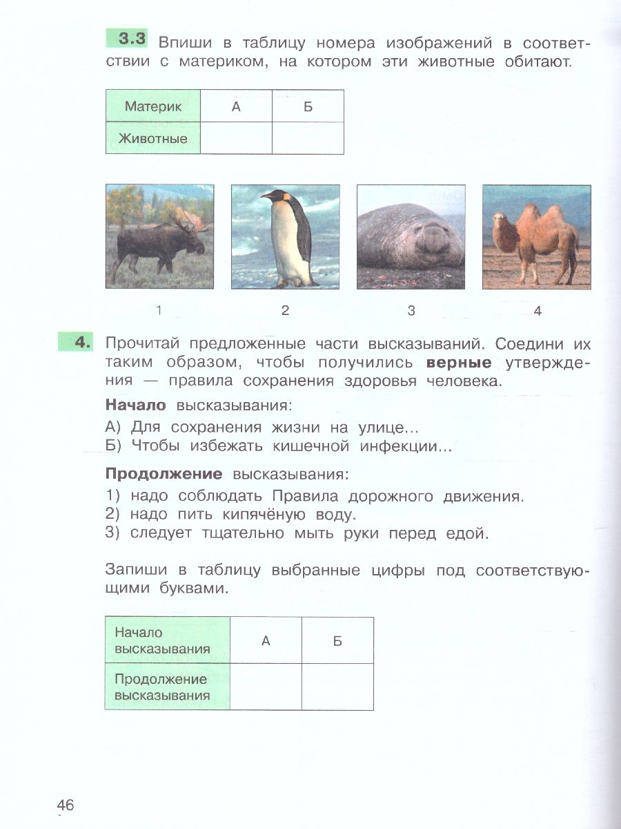 Обложка книги Окружающий мир 4 класс. Подготовка к ВПР, Автор Мишакина Т.Л. Елина Е.М., издательство Просвещение/Союз                                   | купить в книжном магазине Рослит