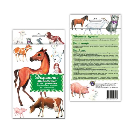 Обложка книги Дидактические карточки "Домашние животные", Автор , издательство Маленький гений-Пресс | купить в книжном магазине Рослит