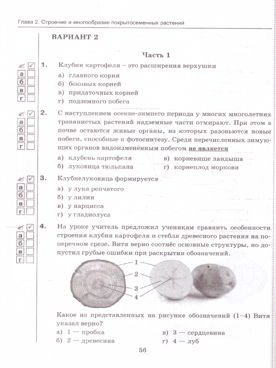 Обложка книги Биология 6 класс. Тесты. К учебнику В. В. Пасечника. ФГОС Новый, Автор Пасечник В. В., издательство Экзамен | купить в книжном магазине Рослит
