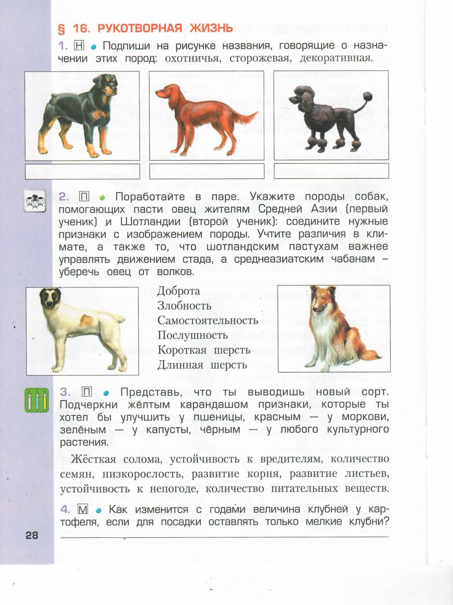 Обложка книги Окружающий мир 4 класс. Рабочая тетрадь. Человек и природа. Часть 1. ФГОС, Автор Вахрушев А.А. Бурский О.В. Раутиан А.С., издательство БАЛАСС | купить в книжном магазине Рослит