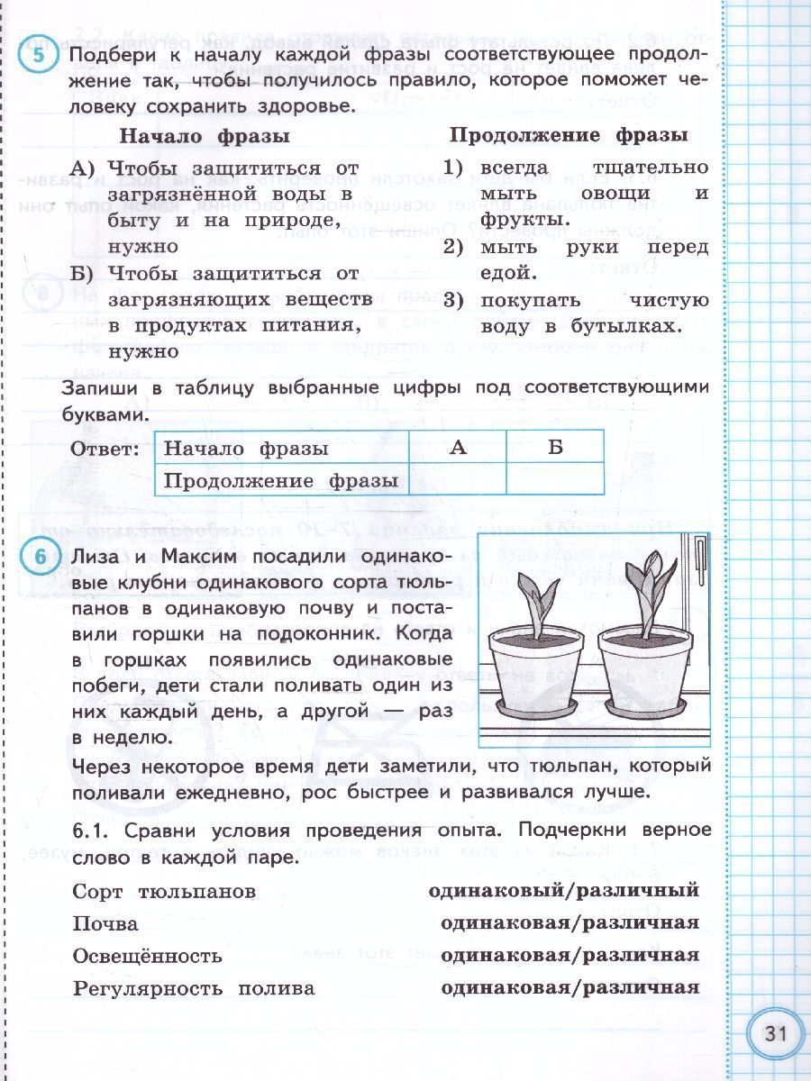картинка ВПР за курс начальной школы. Окружающий мир. Практикум. ФГОС от магазина Рослит