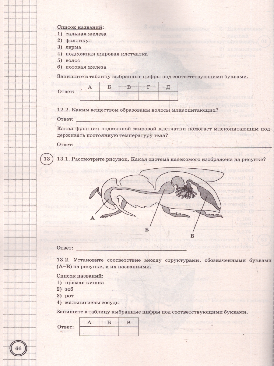 Обложка книги ВПР Биология 8 класс. 10 вариантов. Типовые задания. ФГОС Новый, Автор Семенов И. А., издательство Экзамен | купить в книжном магазине Рослит
