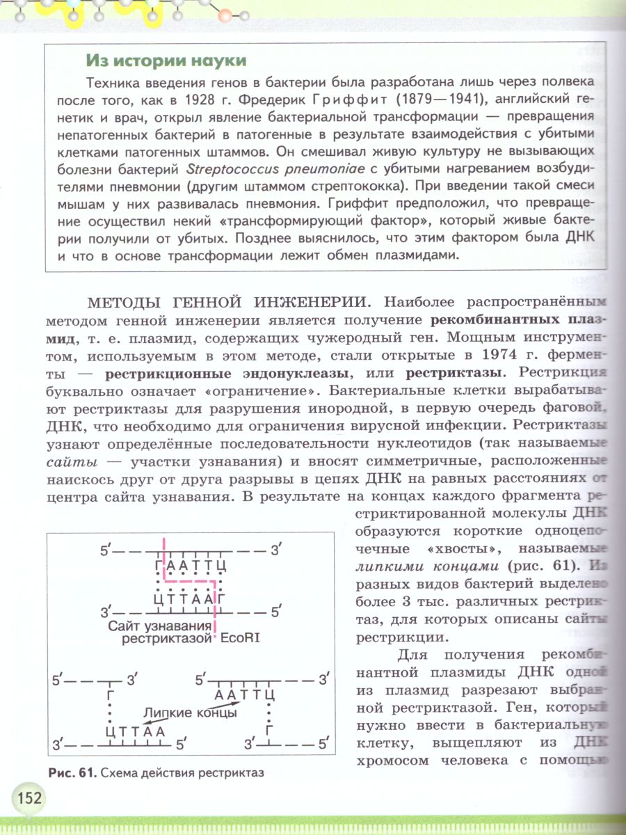 Обложка книги Биология 10 класс. Углублённый уровень. Учебное пособие. В 2-х частях. Часть 1, Автор Высоцкая Л.В. Дымшиц Г.М. Рувинский А.О., издательство Просвещение | купить в книжном магазине Рослит