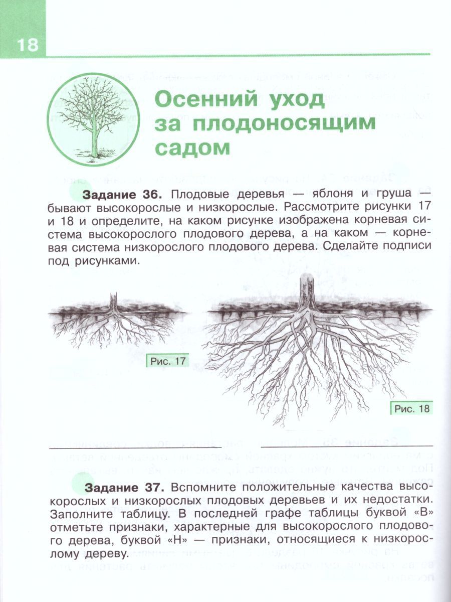 Обложка книги Технология 8 класс. Сельскохозяйственный труд. Рабочая тетрадь для специальных (коррекционных) образовательных учреждений VIII вида, Автор Ковалёва Е.А., издательство Просвещение | купить в книжном магазине Рослит
