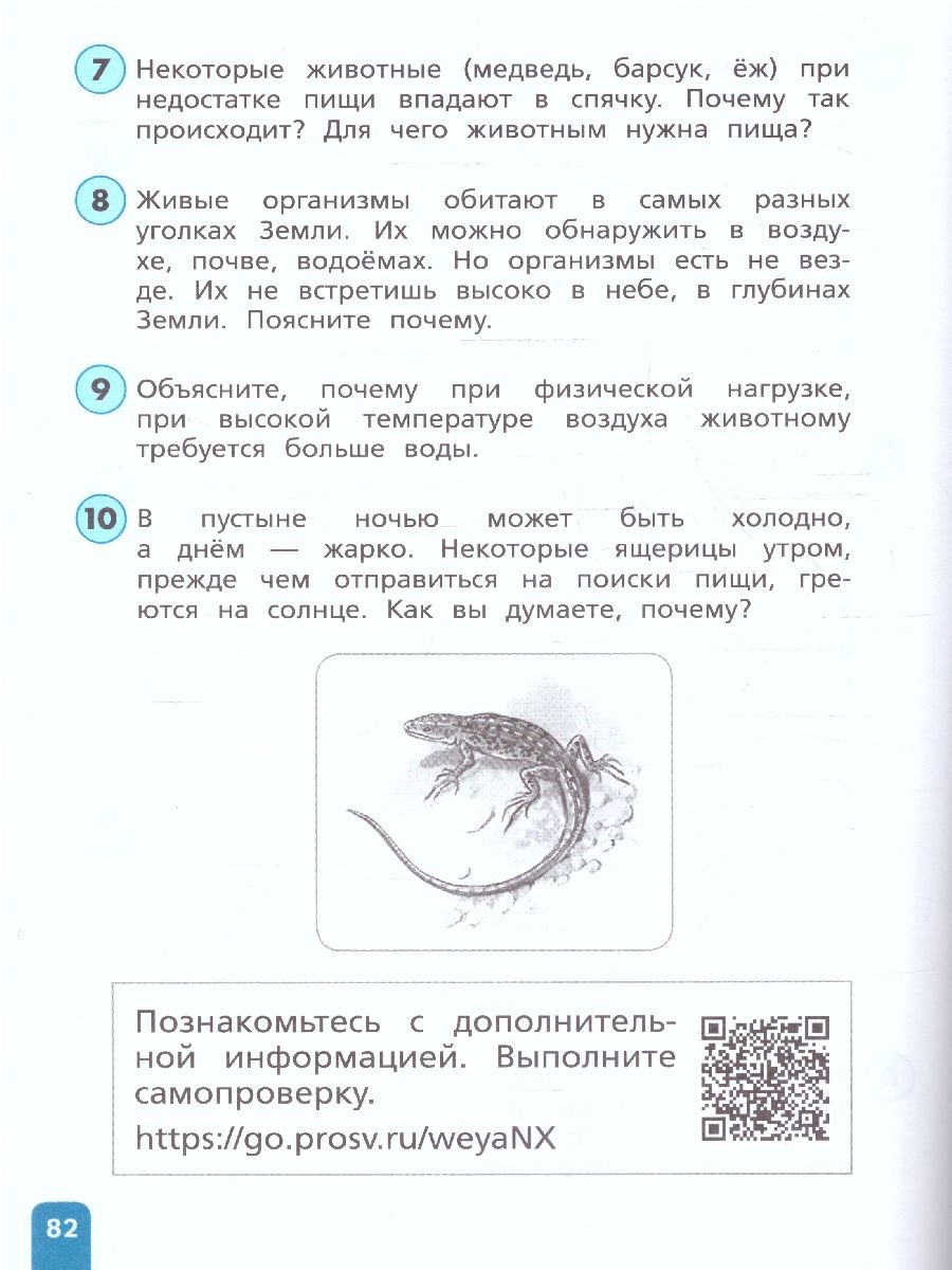 Обложка книги Естественно-научная грамотность 3 класс. Окружающий мир. Развитие. Диагностика, Автор Тимофеева Л.Л, издательство Просвещение | купить в книжном магазине Рослит