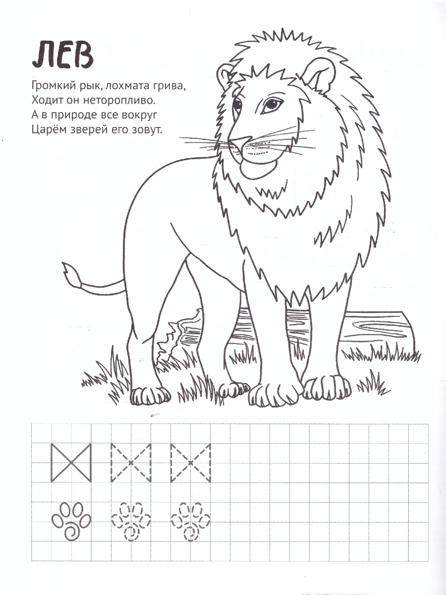 Обложка книги Готовим руку к письму Раскраска с прописями. Весёлый зоопарк, Автор Цветкова Т.В., издательство Сфера | купить в книжном магазине Рослит