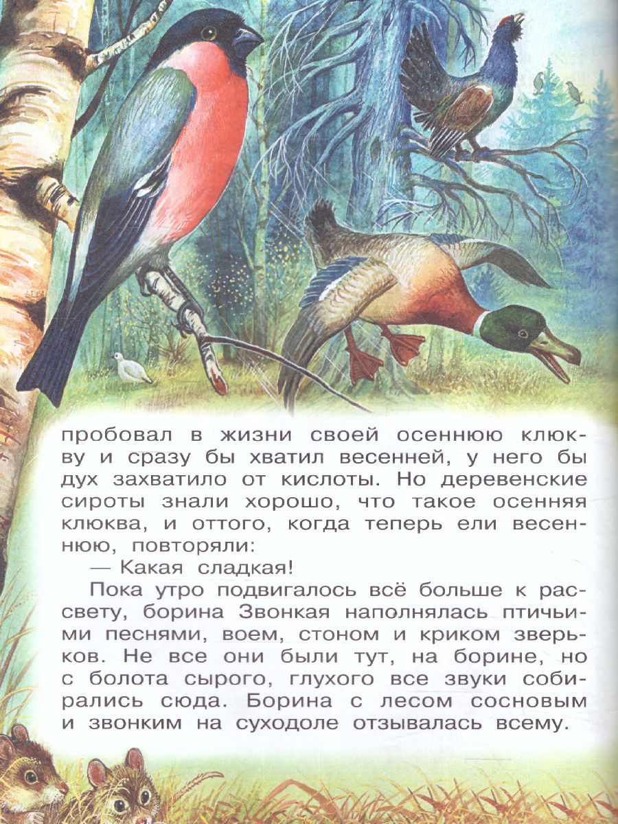 Обложка книги Как поссорились кошка с собакой, Автор Пришвин М.М., издательство АСТ | купить в книжном магазине Рослит