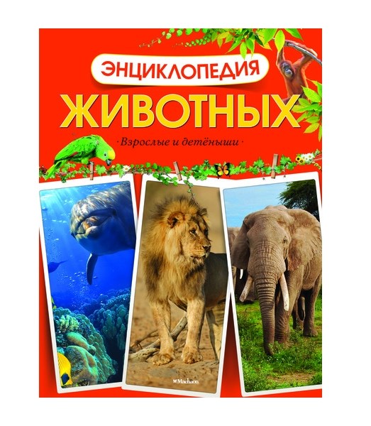 Обложка Энциклопедия животных. Взрослые и детёныши, издательство Махаон | купить в книжном магазине Рослит