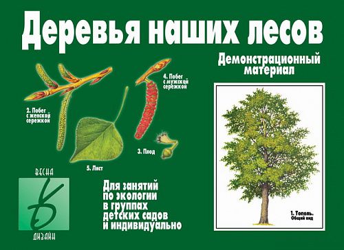 Обложка книги Деревья наших лесов. Демонстрационные материалы, Автор , издательство Весна-Дизайн | купить в книжном магазине Рослит