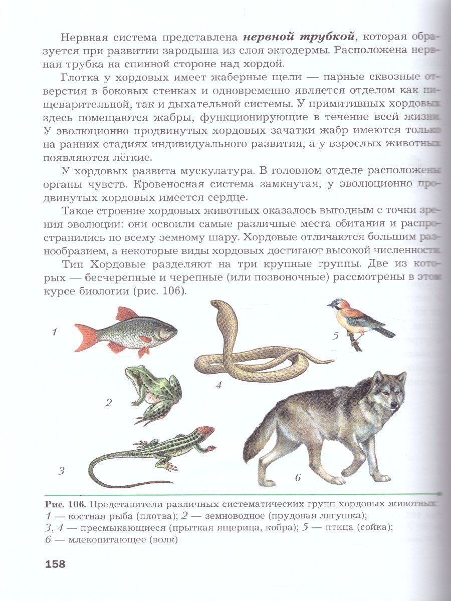Обложка книги Биология 8 класс. Учебник. ФГОС, Автор Константинов В.М. Бабенко В.Г. Кучменко В.С., издательство Вентана-Граф | купить в книжном магазине Рослит