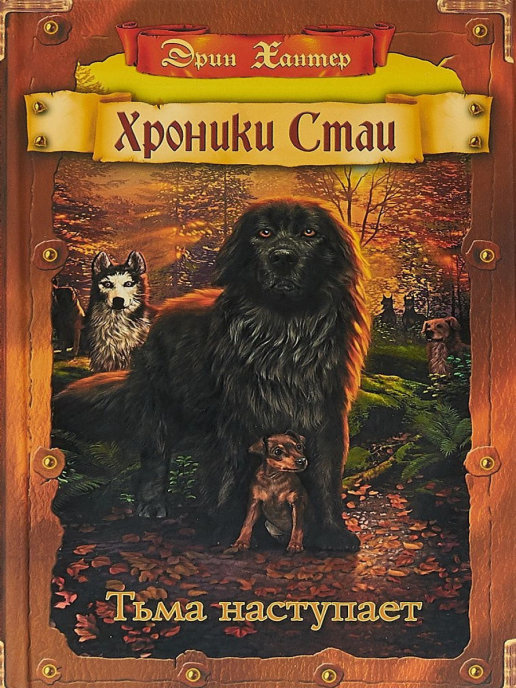 Обложка Тьма наступает, издательство Просвещение/Союз                                   | купить в книжном магазине Рослит
