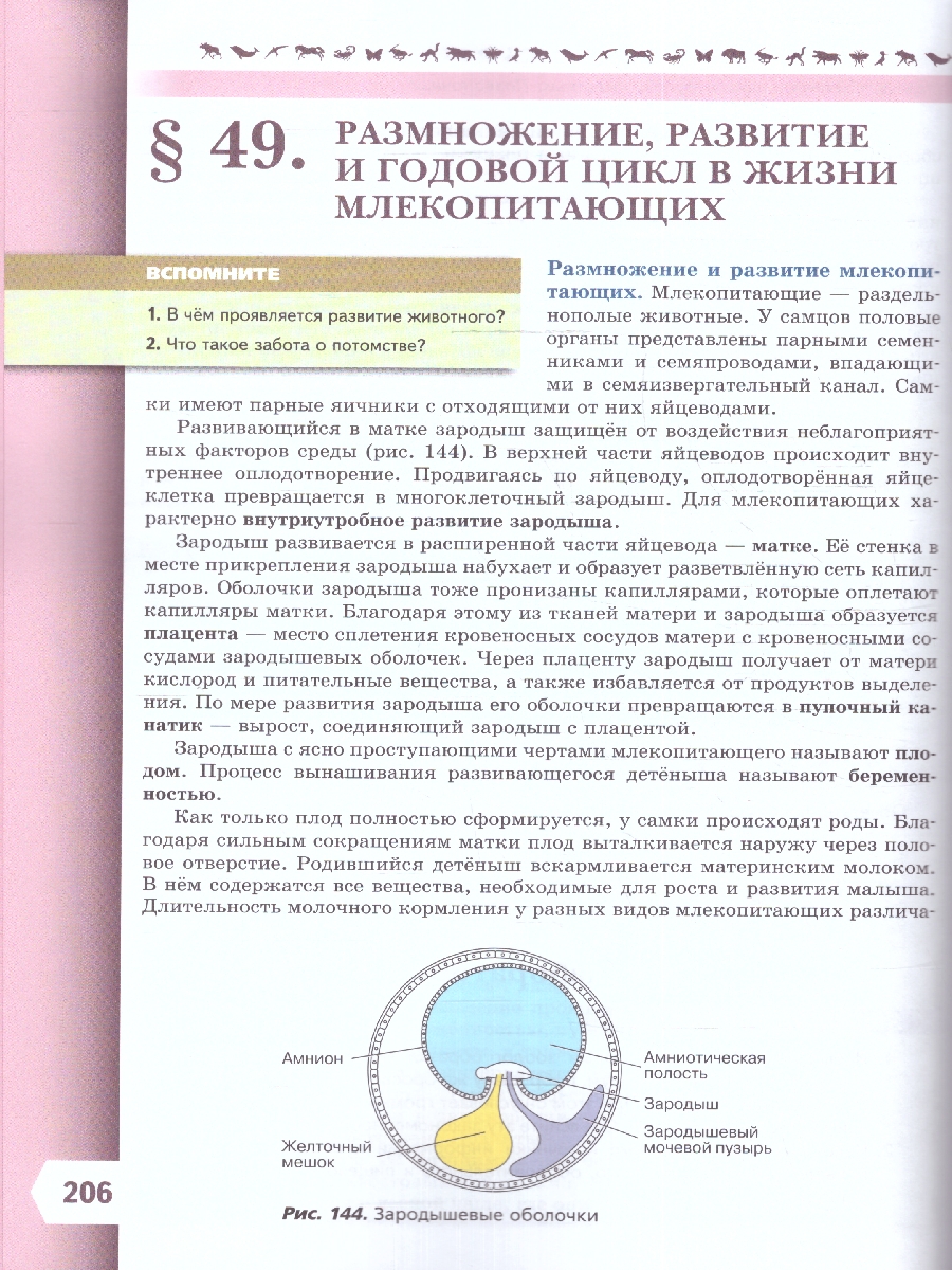 Обложка книги Биология 8 класс. Базовый уровень. Учебник. УМК "Линия жизни" (ФП2022), Автор Пасечник В.В. Суматохин С.В. Гапонюк З.Г.д, издательство Просвещение | купить в книжном магазине Рослит