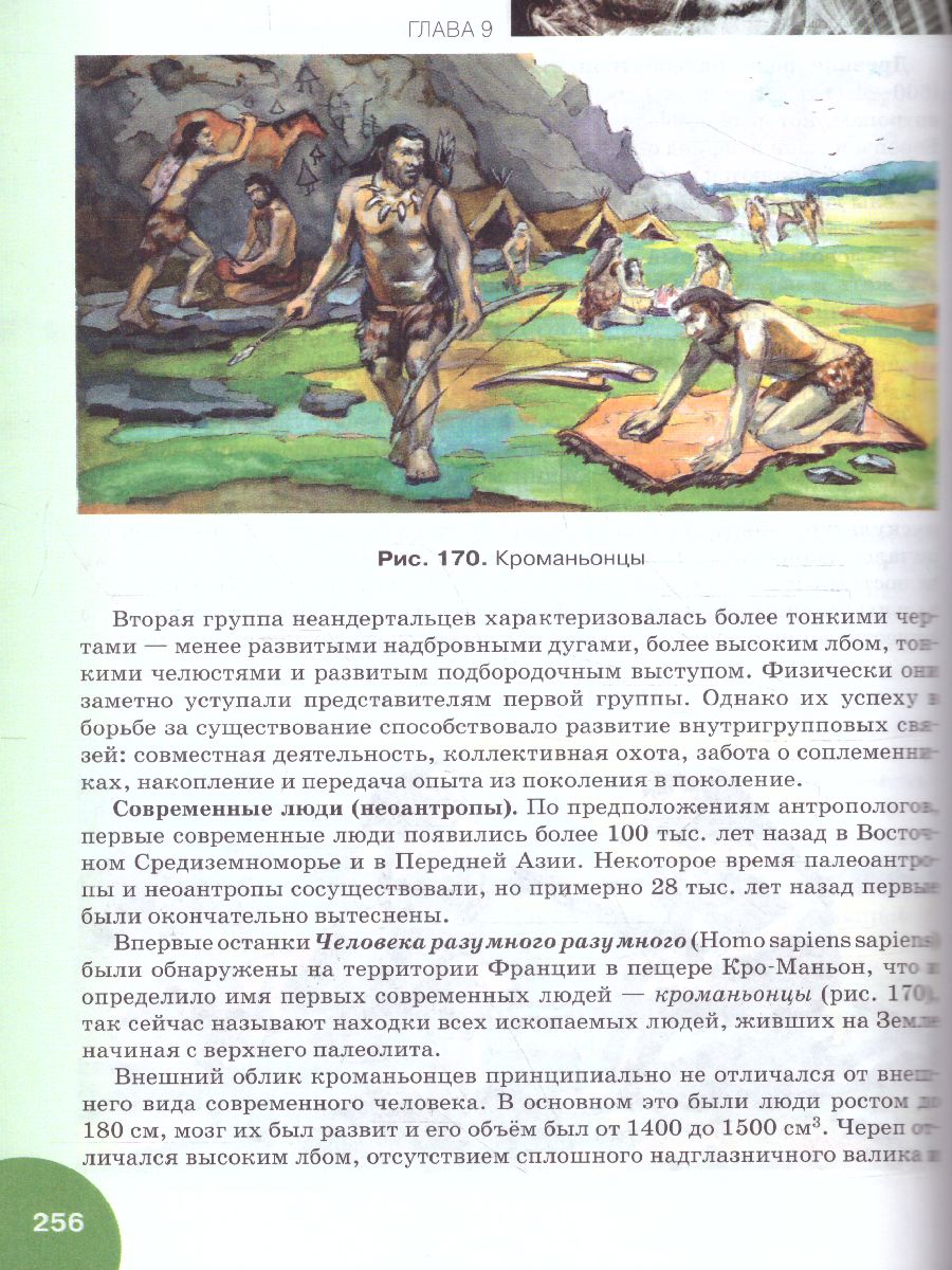 Обложка книги Данилов Биология 9 кл. Учебное пособие  (РС), Автор Данилов С.Б. Владимирская А.И. Романова Н.И., издательство Русское слово | купить в книжном магазине Рослит