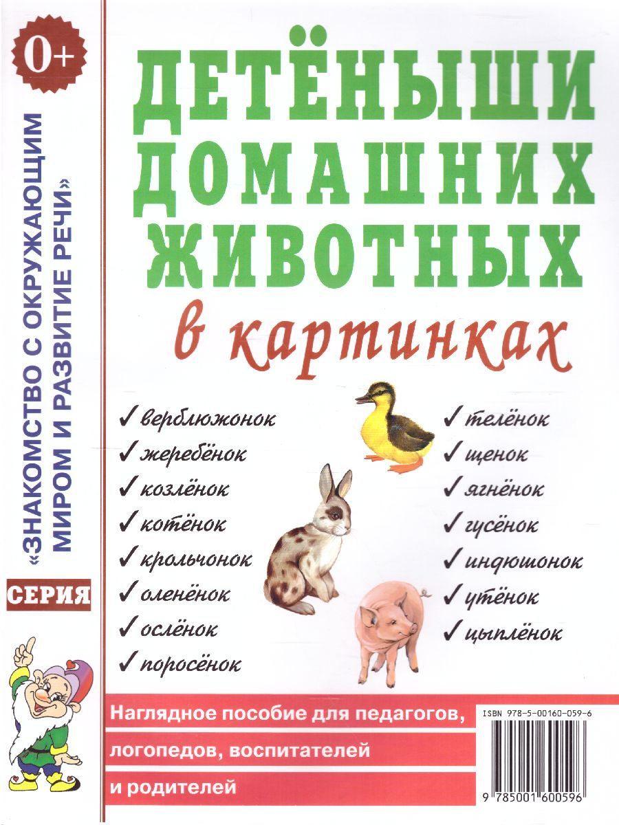 Обложка книги Детеныши домашних животных в картинках. Наглядное пособие для педагогов, логопедов, воспитателей и родителей, Автор , издательство ГНОМ | купить в книжном магазине Рослит
