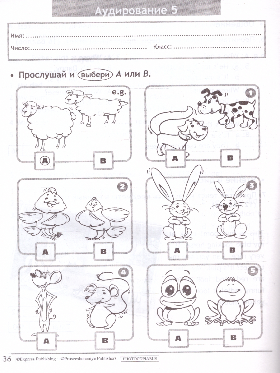 Обложка книги Английский в фокусе 3 класс. Контрольные задания (ФП2022), Автор Быкова Н.И. Дули Д. Поспелова М.Д., издательство Просвещение | купить в книжном магазине Рослит