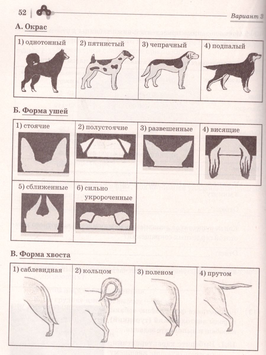 Обложка книги ВПР. Биология 7 класс. 5 тренировочных вариантов, Автор Кириленко А.А., издательство ЛЕГИОН | купить в книжном магазине Рослит