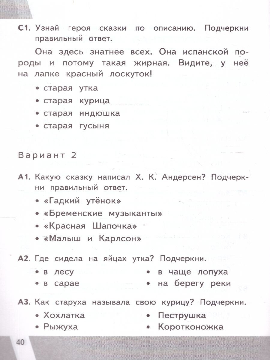 картинка ВПР Литературное чтение 3 класс. Контрольные измерительные материалы. ФГОС от магазина Рослит
