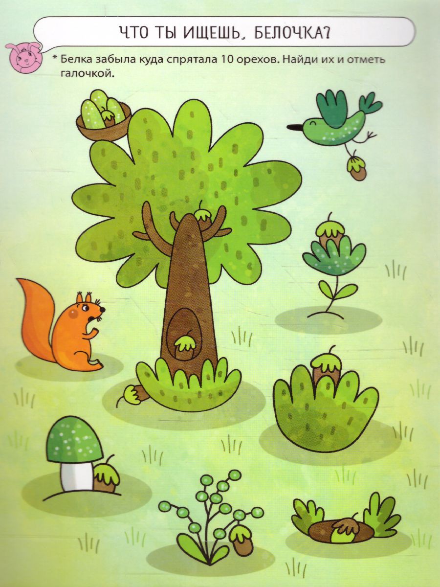 Обложка книги Удивительные приключения в лесу. Комплект Развитие воображения и речи 2-4 года, Автор , издательство Маленький гений-Пресс | купить в книжном магазине Рослит