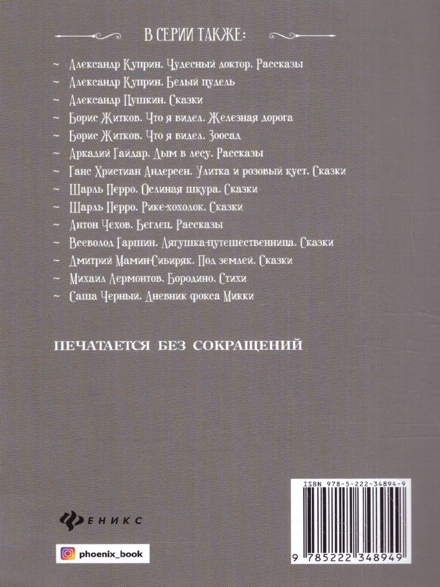 Обложка книги Горячий камень Рассказы, Автор Гайдар А.П., издательство Феникс ТД                                          | купить в книжном магазине Рослит