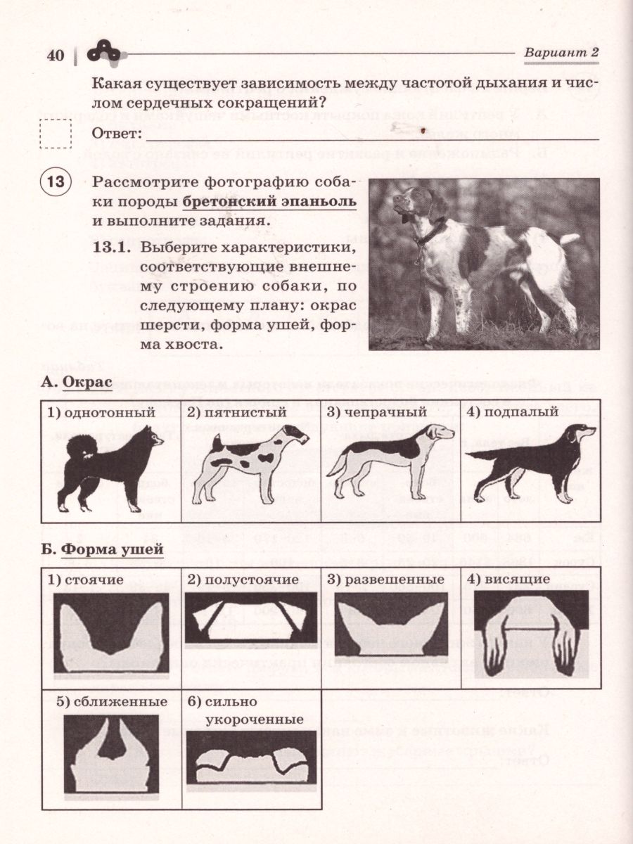 Обложка книги ВПР. Биология 8 класс. 10 тренировочных вариантов, Автор Кириленко А.А., издательство ЛЕГИОН | купить в книжном магазине Рослит