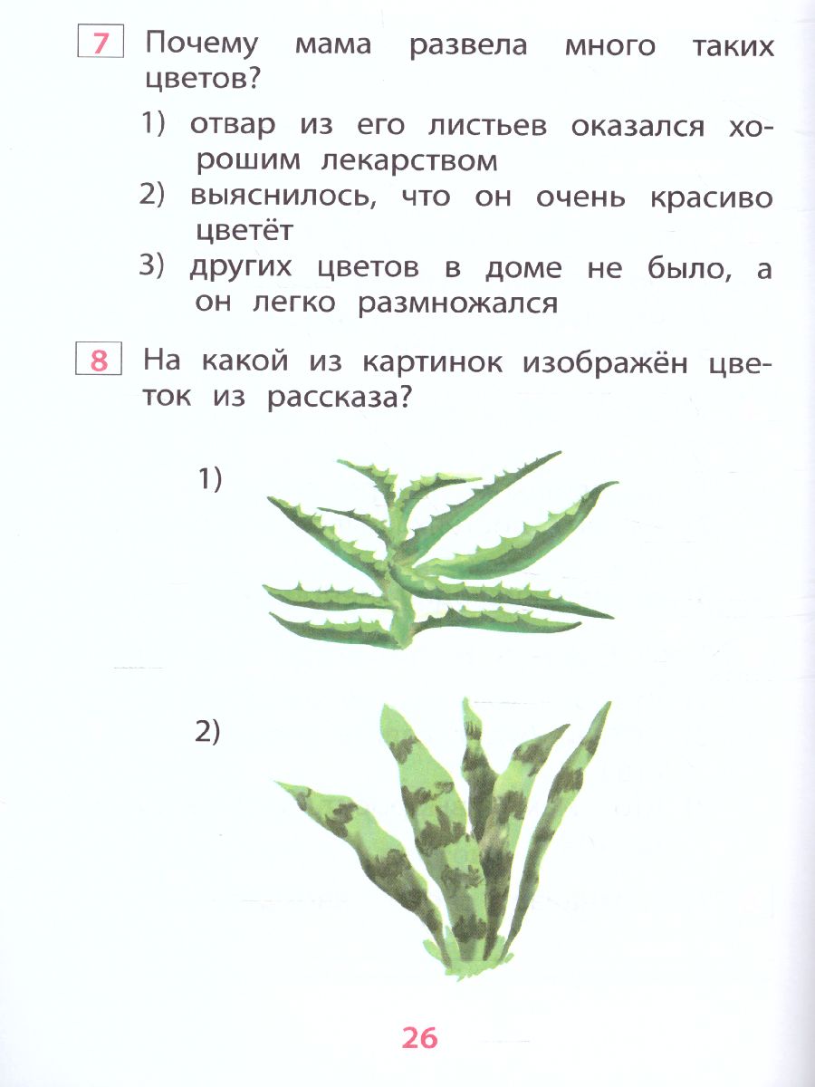 Обложка книги Чтение 1 класс. Диагностика читательской компетентности, Автор Долгова О.В., издательство Издательство Интеллект-центр | купить в книжном магазине Рослит