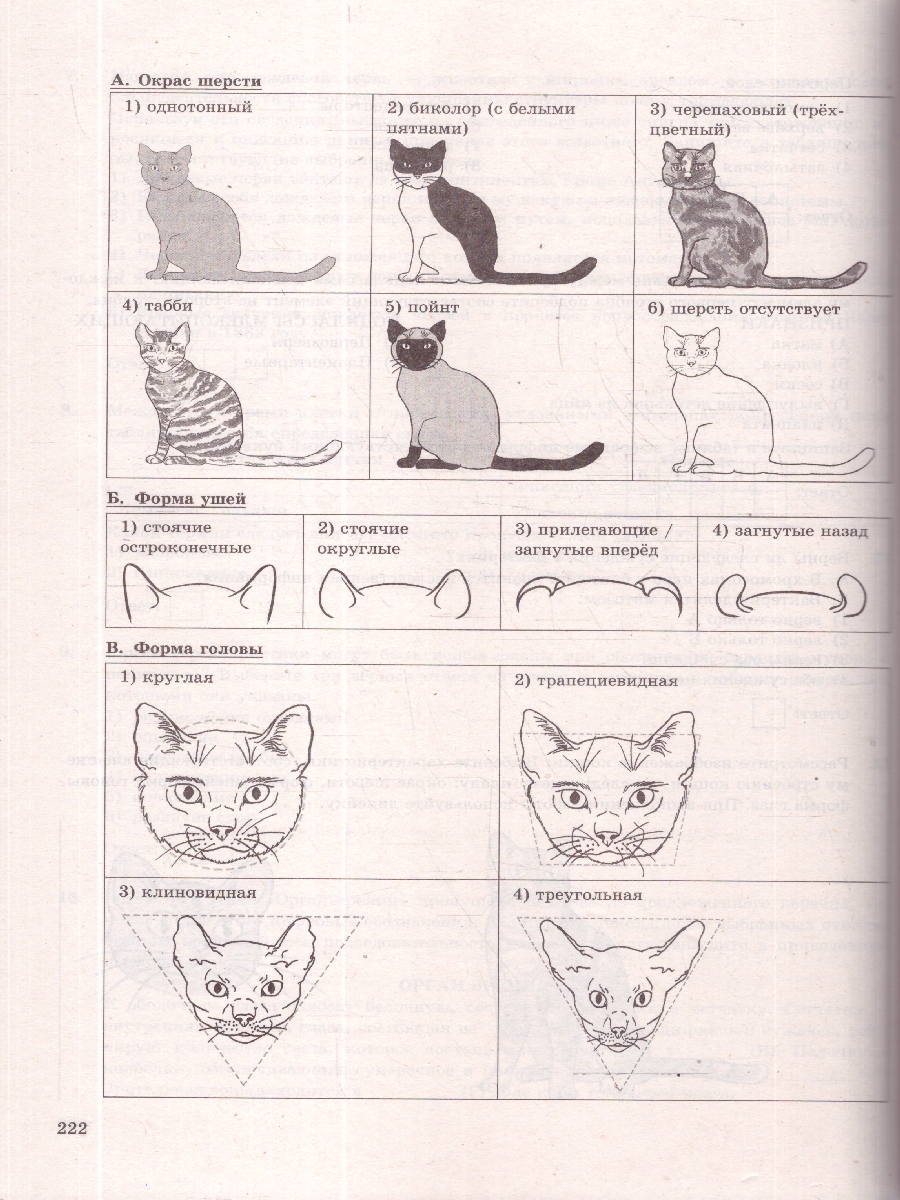 Обложка книги ОГЭ 2026 Биология. Типовые варианты экзаменационных заданий. 30 вариантов. ФИПИ, Автор Мазяркина Т. В.; Первак С. В., издательство Экзамен | купить в книжном магазине Рослит