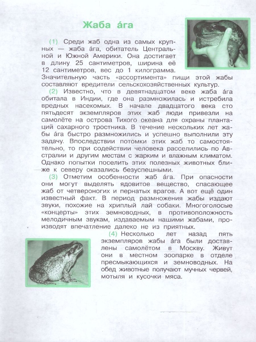 Обложка книги Мои достижения. Итоговые комплексные работы 3 класс. ФГОС, Автор Логинова О. Б. Яковлева С. Г., издательство Просвещение/Союз                                   | купить в книжном магазине Рослит